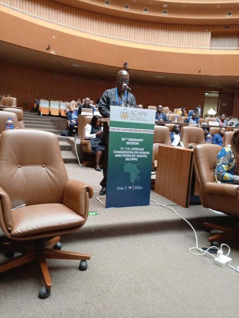 Mr. Ayassou at a podium addresses an audience in a large auditorium at the African Commission on Human and Peoples' Rights session. Attendees are seated in brown chairs