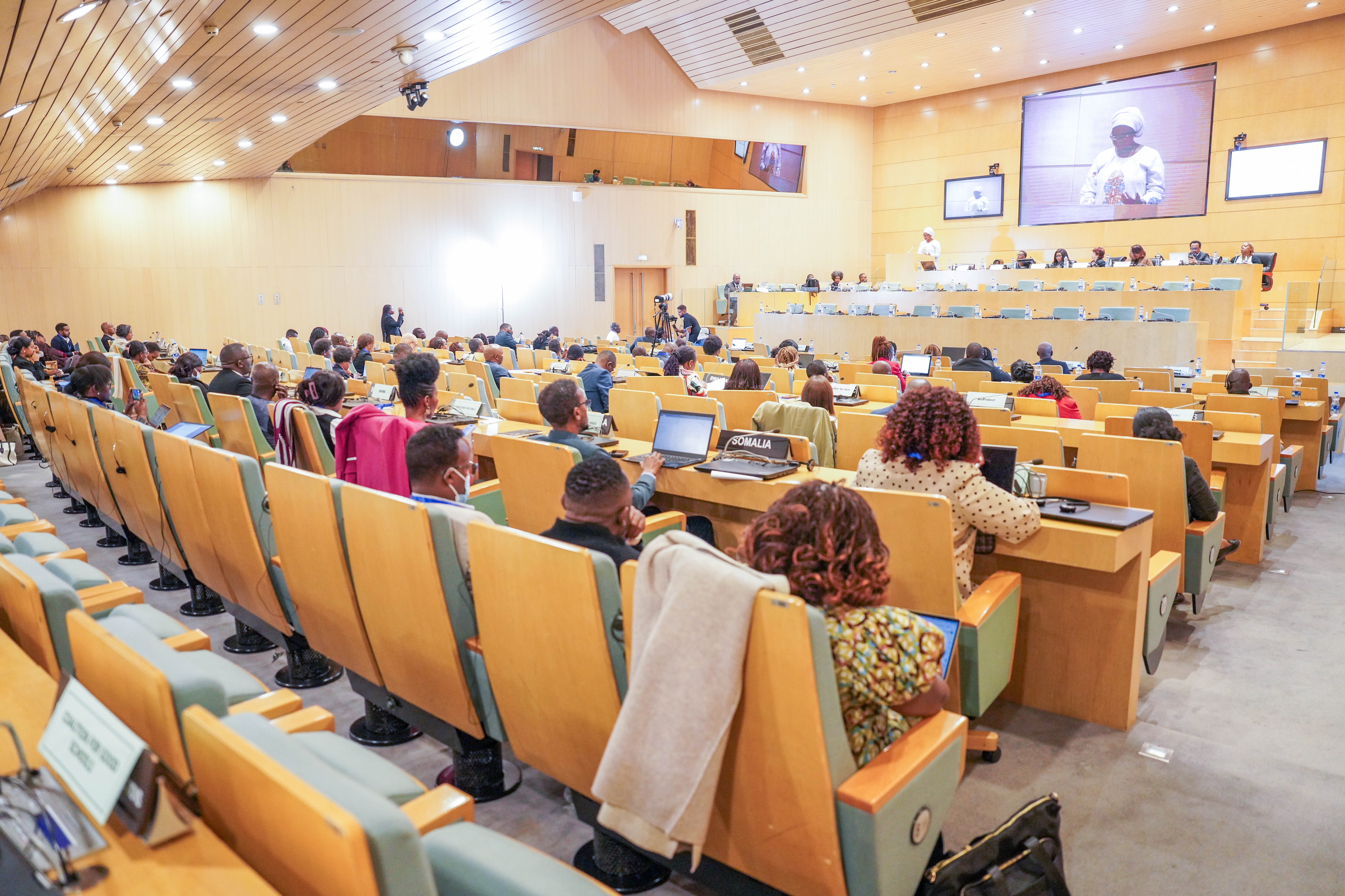 Wide view of a formal assembly hall filled with delegates seated in rows, each with microphones and nameplates such as ‘Somalia.’ A speaker stands at the front near a large screen displaying their image. The room has light wood paneling and a high ceiling.