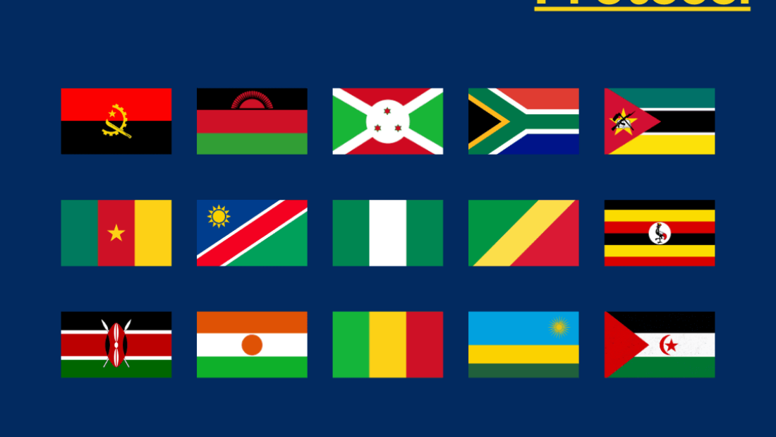 15 countries that have ratified the African Disability Protocol: Angola, Burundi, Cameroon, Republic of the Congo, Kenya, Mali, Malawi, Mozambique, Namibia, Nigeria, Niger, Rwanda, South Africa, Sahrawi Arab Democratic Republic, Uganda