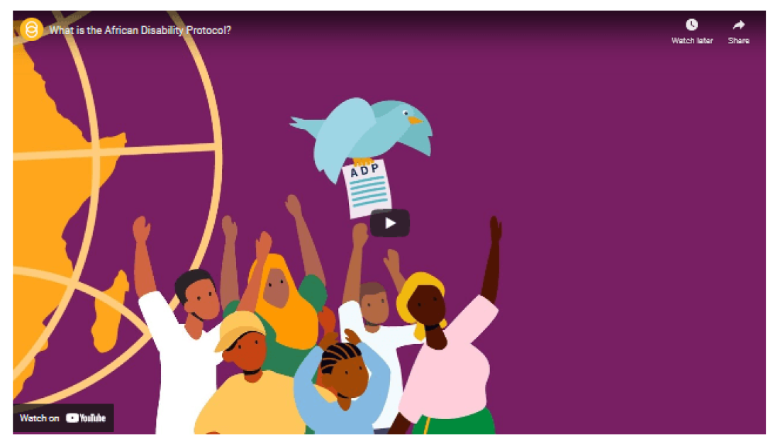 Sightsavers Video on ADP