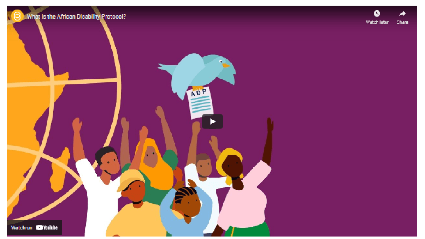 Sightsavers Video on ADP