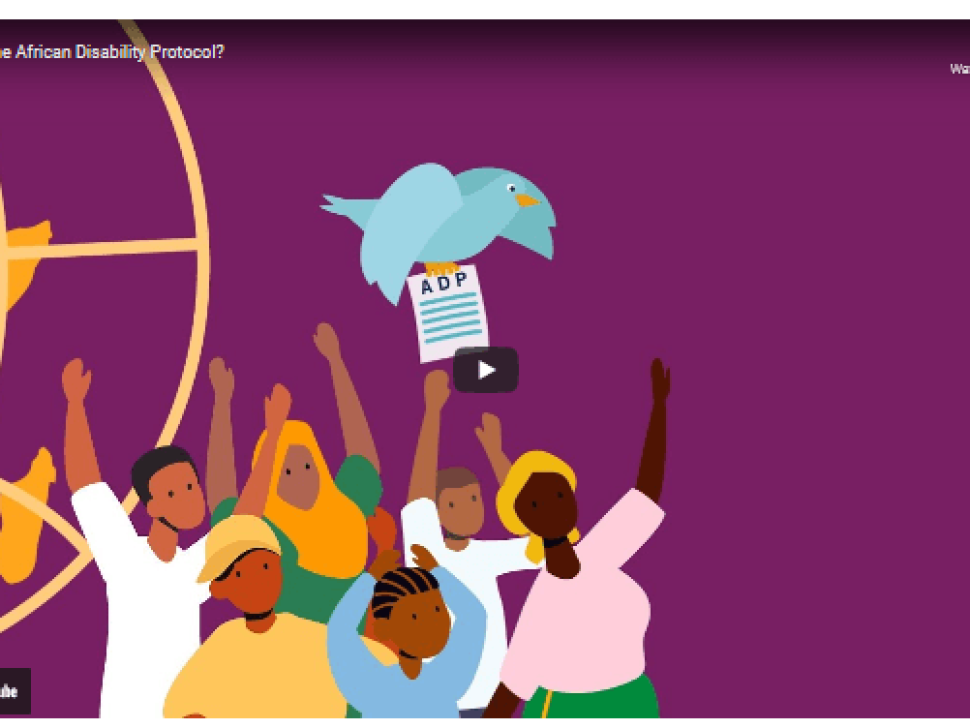 Sightsavers Video on ADP