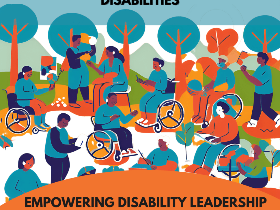 A graphic poster showing different people with disabilities outdoors. The heading read: international day of persons with disabilities. Underneath it reads: Empowering Disability Leadership for Global Inclusion and Sustainability